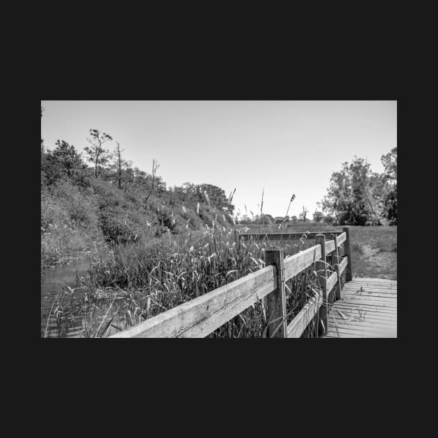 Wooden bridge alongside the River Ant, Norfolk by yackers1