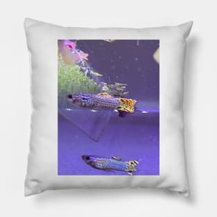 Guppies Pillow