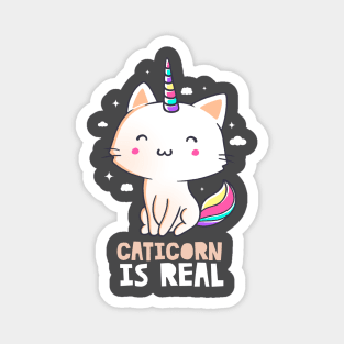 Caticorn Is Real Funny Cute Gift Magnet