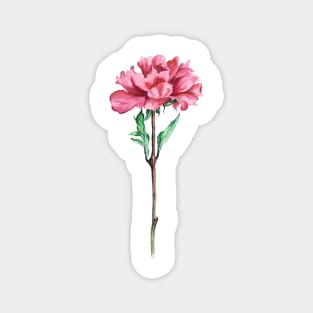 Peony Magnet