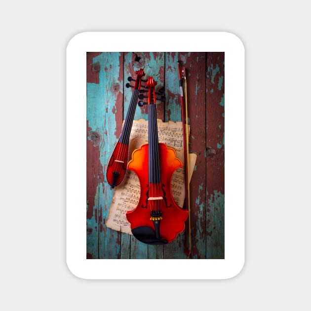 Baroque And Pocket Violin Magnet by photogarry