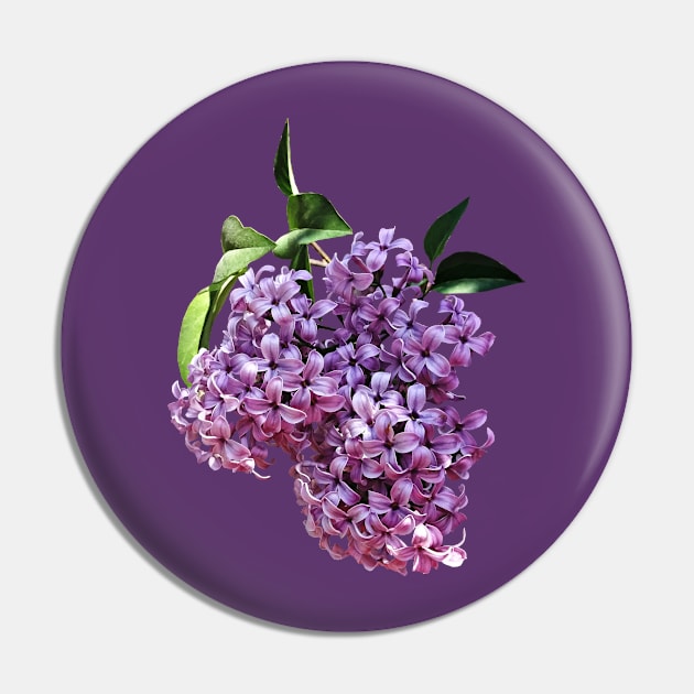 Lilacs - Delicate Pink Lilacs Pin by SusanSavad