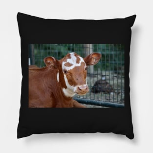 Calf Pillow