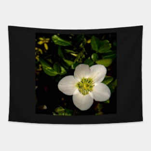 Christmas Rose sqr Tapestry