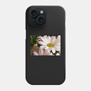 White Chrysanthemum flower Phone Case