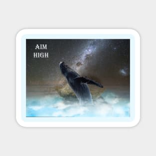 Aim High Magnet