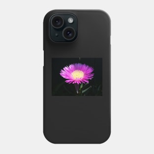 Photography by Immortal Peaches Phone Case