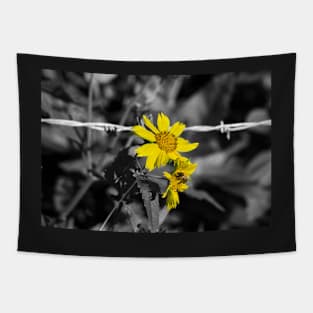 Barbed Wire, Daisy and Bee Tapestry