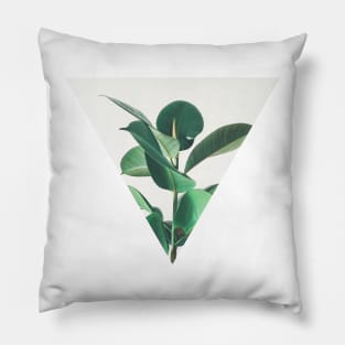 Rubber Fig Pillow