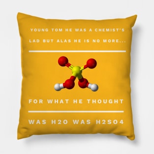 Young Tom he was a Chemist's lad Pillow