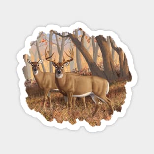 Whitetail Deer Buck and Doe in Autumn Woods Magnet