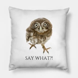 Say What?! Pillow