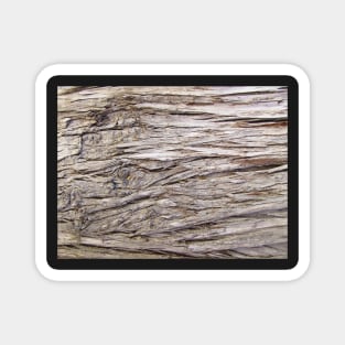 Driftwood Magnet