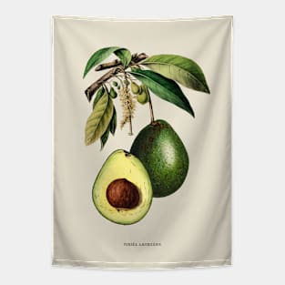 Avocado Antique Botanical Illustration Tapestry