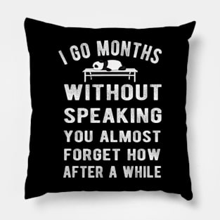 I go months without speaking Lazy Cute Panda Bear Animal Pillow