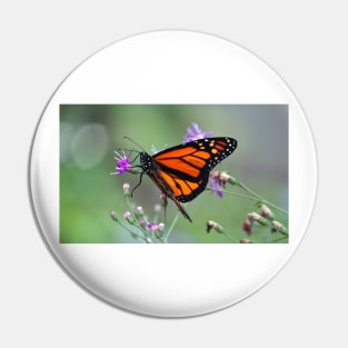 Monarch Beauty Pin