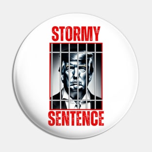 Stormy Sentence Trump Pin