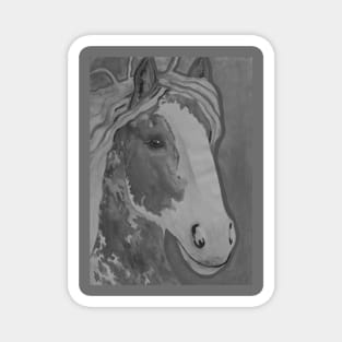 Black and white horse or pony Magnet