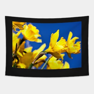 Blue and Yellow Tapestry