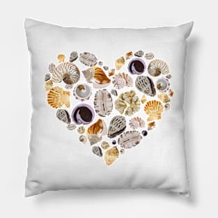 Shell Collection from Maldives Pillow