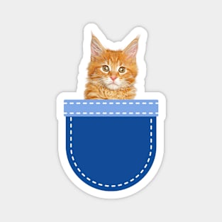 Cat in Pocket (Mainecoon Cat) Magnet