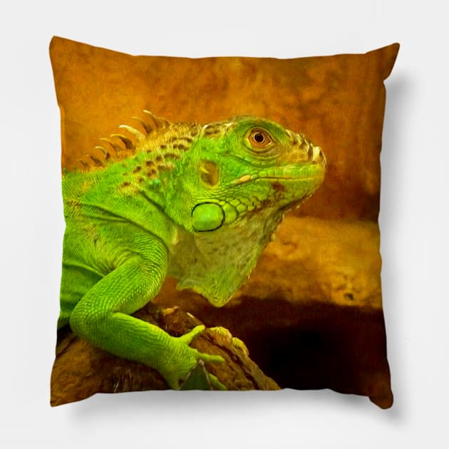 Green iguana Pillow by Guardi