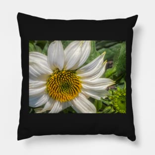 White Coneflower Newly Opened by Debra Martz Pillow