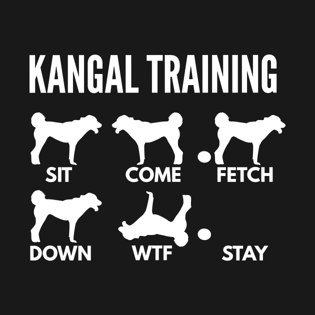 Anatolian Shepherd Training Kangal Shepherd Tricks by DoggyStyles