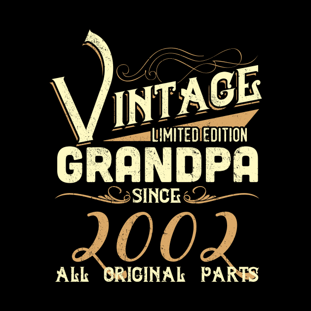 Vintage Grandpa Since 2002 Funny Man Myth Legend Daddy by johnbbmerch