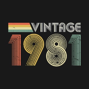 Vintage 1981, 40th Birthday Gift T-Shirt