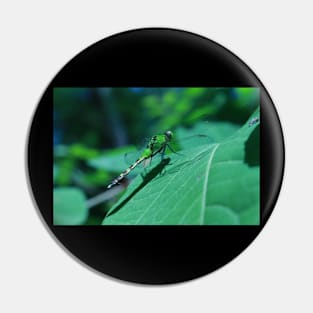 Green Dragonfly Resting on a Leaf Pin