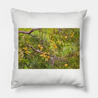 ela mangoes -1 Pillow