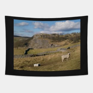 Lazy Dales Afternoon Tapestry