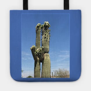 Cacti couple Tote