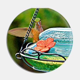 hummingbird landing Pin