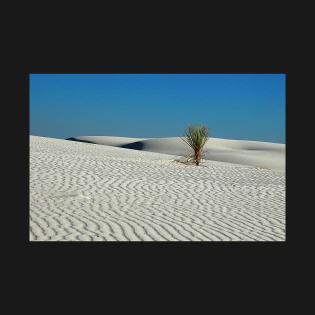 Lonely Yucca at White Sand Dunes by algill