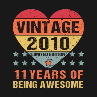 Vintage 2010 Limited Edition 11th Birthday Boy Girl T-Shirt