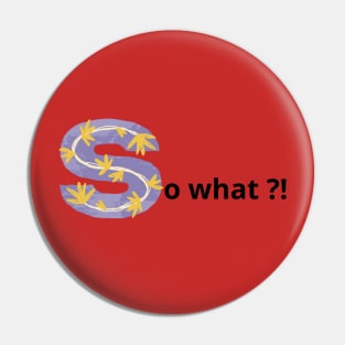 so what ?! Pin