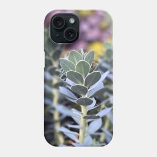 Stonecrops in Spring Phone Case