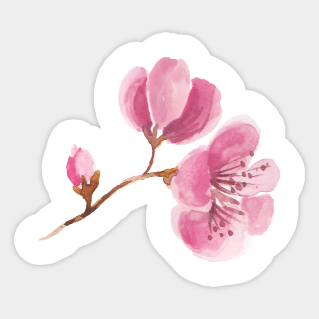 Pink Cherry Blossom Watercolour Cherry Blossom Sticker Teepublic