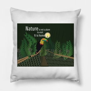 Nature is not a place to visit. It is home. [Gary Snyder - quote] Pillow