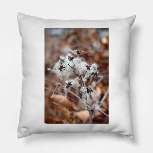 Old man's beard Pillow