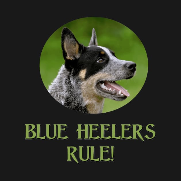 Blue Heelers Rule! by Naves