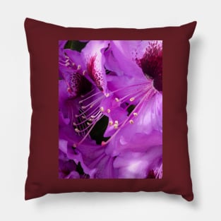 The Rhododendron Pillow
