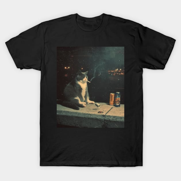 Cigarette Kitten Funny Smoking Cat Meme Stupid Brainrot