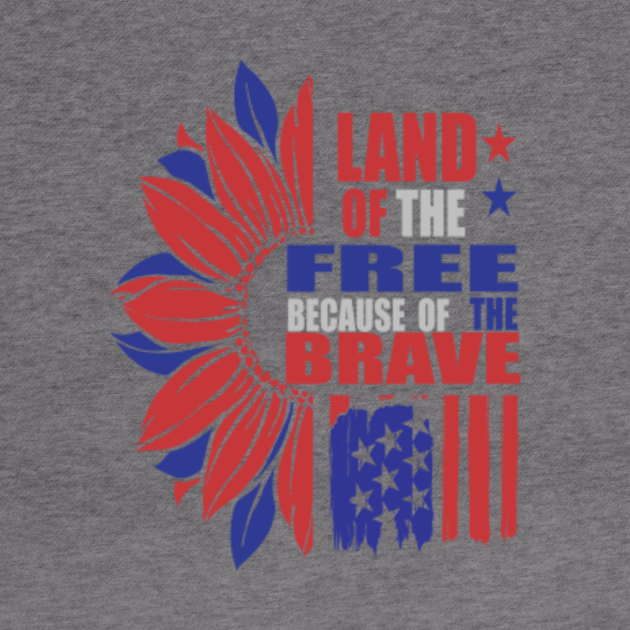 land of the free because of the brave hoodie