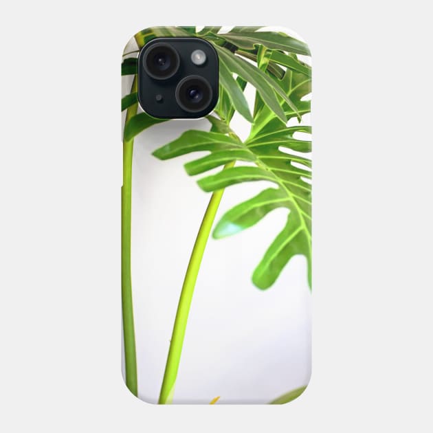 Soft Green Foliage on White Background Phone Case by lexlagmay