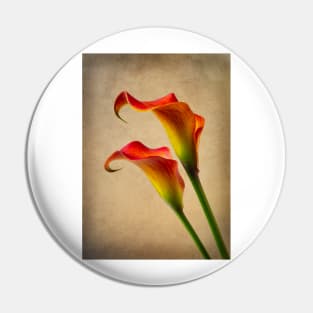 Two Lovely Gorgeous Orange Calla Lilies Pin