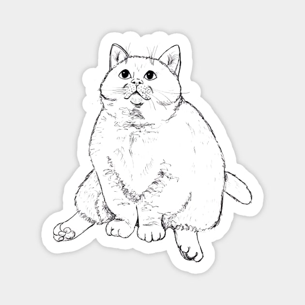 Chonky Cheeks Cat Magnet by Ambariya