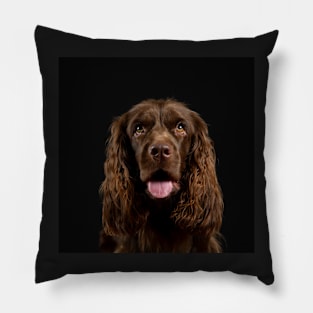 Sussex Spaniel Pillow